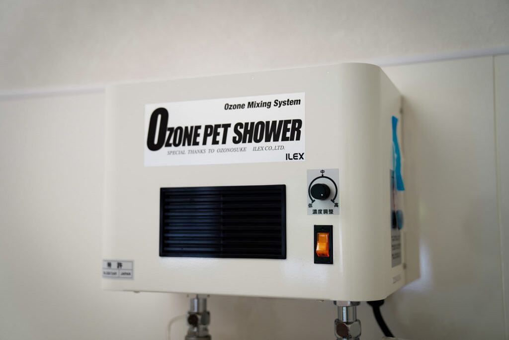 宇都宮市吉野にあるトリミングサロンWHIP（ホイップ）